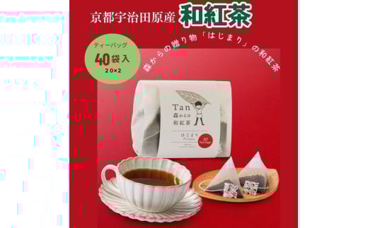 森からの和紅茶　はじまり（20袋入）2個組〈紅茶 お茶 茶 茶葉 和紅茶  飲料〉S1121