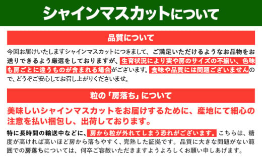 【先行予約】訳あり シャインマスカット 約650g 《2026年8月上旬-8月下旬頃出荷》訳あり シャインマスカット マスカット ぶどう フルーツ 果物 大阪府 羽曳野市 シャイン 食べやすい