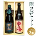 【ふるさと納税】【7日程度で発送】土佐の素材100%！龍の夢セット720ml×2本 - 金賞 受賞 純米大吟醸 日本酒 お酒 純米酒 アルコール 大吟醸 米 こめ 地酒 ギフト 贈り物 贈答用 お礼 御礼 お祝い 御祝 晩酌 送料無料 高木酒造 高知県 香南市【常温・冷蔵】 gs-0087