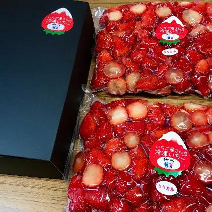 いちご 冷凍 南信州産 1kg 250g×4袋 いちご
