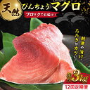 【ふるさと納税】【全12回定期便】天然 まぐろ 冷凍ぶっこみブロック約3kg 鮪 マグロ 刺身 冷凍 横須賀【本まぐろ直売所】[AKAK028]