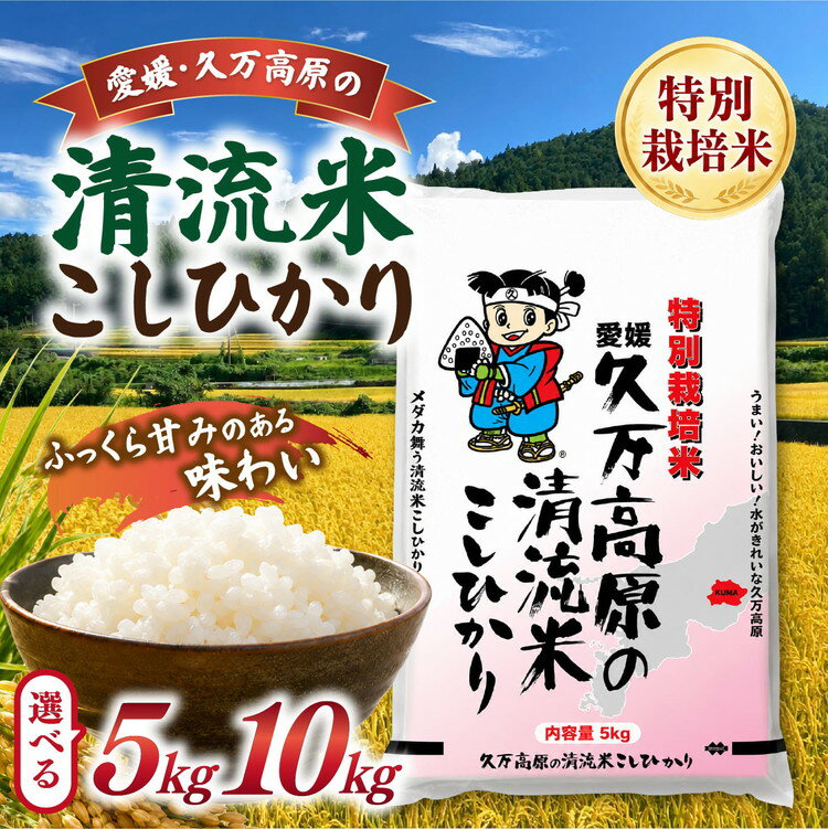 【ふるさと納税】＼選べる内容量／【R8年産】新米 久万高原町 清流米 こしひかり 5kg 10kg｜特別栽培米 減農薬 減化学肥料 コシヒカリ 白米 愛媛県産 米 ※2026年9月～発送