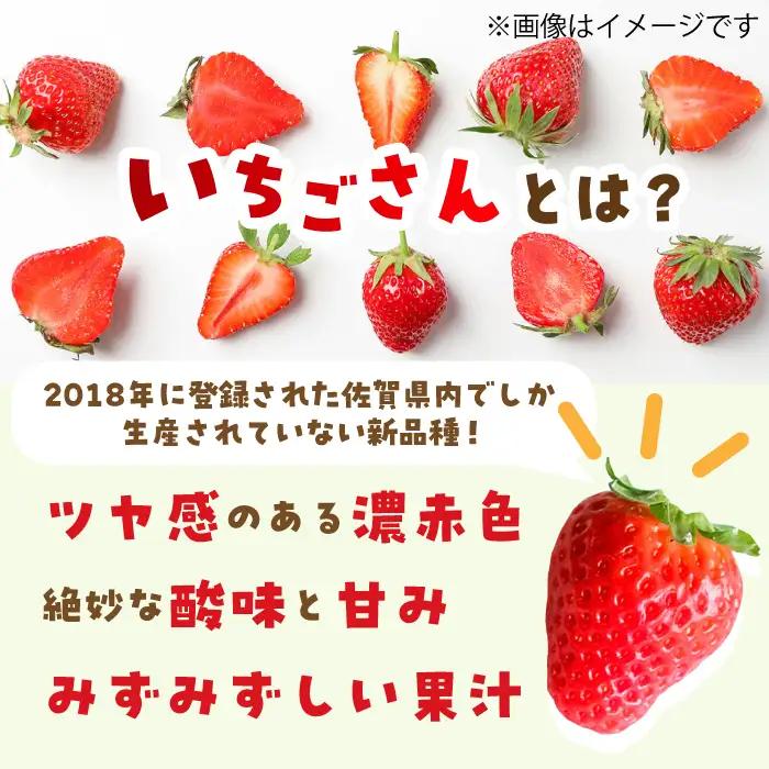 【1月から3月発送】【3回定期便】いちごさん 約800g（約200g×4P）いちご イチゴ 苺[FDF002]