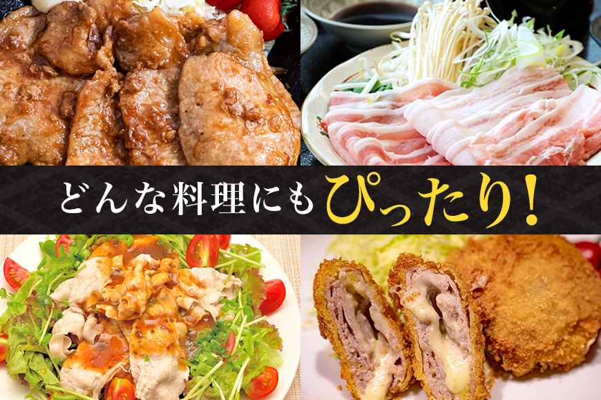 サンゴク豚（バランスセット） 合計2.5kg しゃぶしゃぶ 焼き肉 豚肉 豚バラ肉 ロース 小分け 真空パック しゃぶしゃぶ肉 焼肉用 ブタ肉 国産 茨城県産 ギフト プレゼント 高級部位 2-B