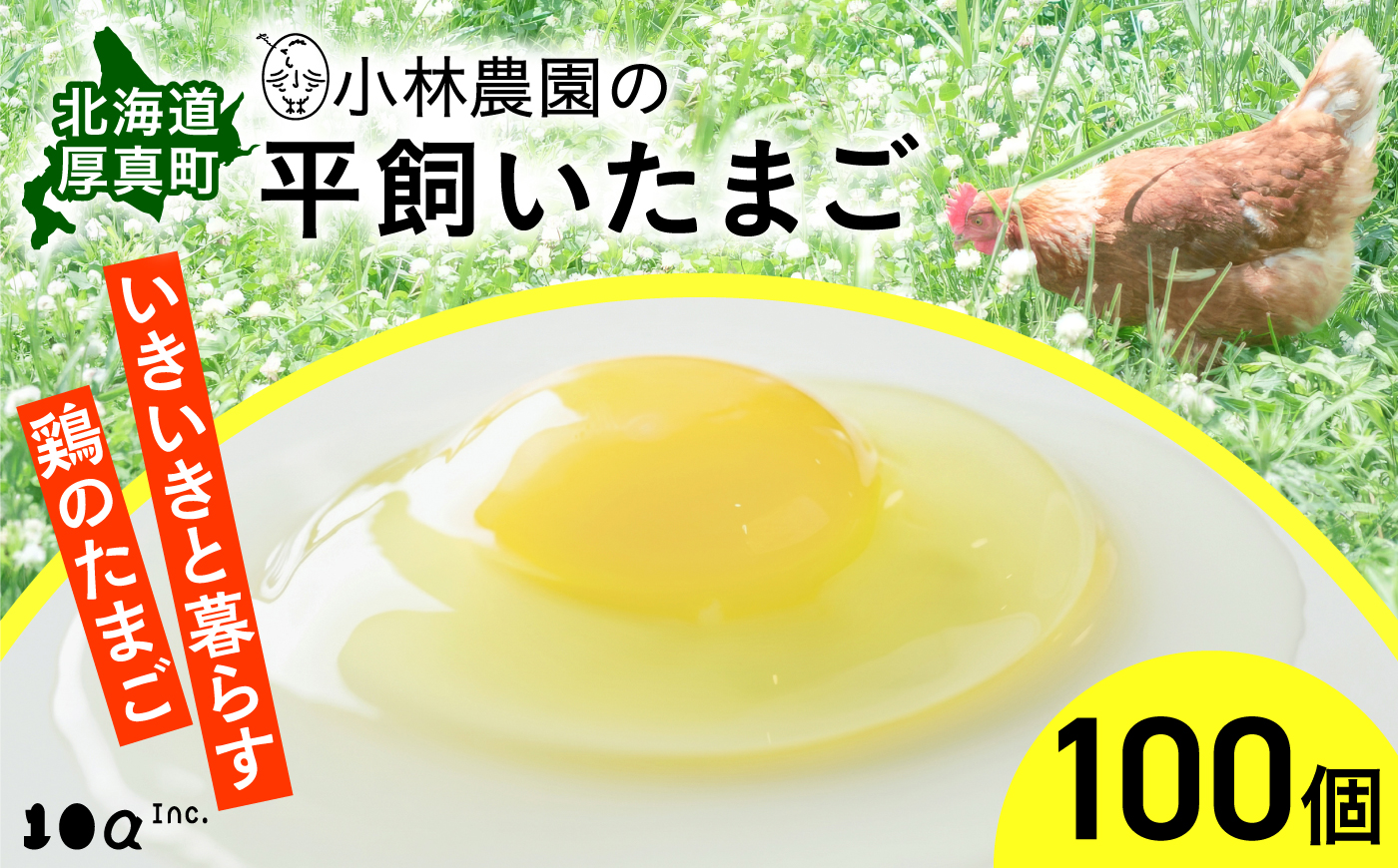 小林農園の平飼いたまご・無投薬 100個《厚真町》【テンアール株式会社】 有精卵 卵 鶏卵 玉子 生卵 平飼い 北海道 [AXAN035]