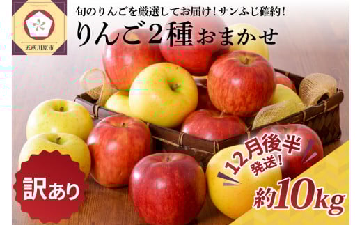 【2025年12月後半発送】 【訳あり】 りんご 約10kg サンふじ確約 青森産 品種おまかせ2種以上