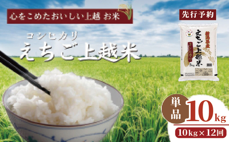 【先行予約】令和7年 新米 新潟県産コシヒカリ えちご上越米　定期便 【12ヶ月連続お届け】10kg×12回 120kg 新潟 米 新潟県 こしひかり 限定 おすすめ
