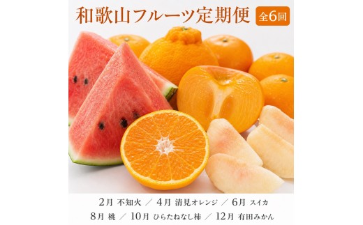 
            【2・4・6・8・10・12月 偶数月発送 全6回】和歌山産 旬のフルーツ お楽しみ 定期便 【魚鶴商店】【UT113】
          