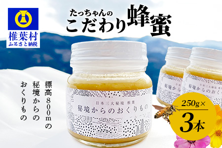 標高800m たっちゃんのこだわり蜂蜜【250g×3本】送料無料 宮崎県 椎葉村 秘境 蜂蜜 はちみつ ハチミツ みつばち ミツバチ 伝統的 養蜂 国産 天然 百花蜜 巣箱 数量限定 季節 希少 250g 500g 750g【TN-03】