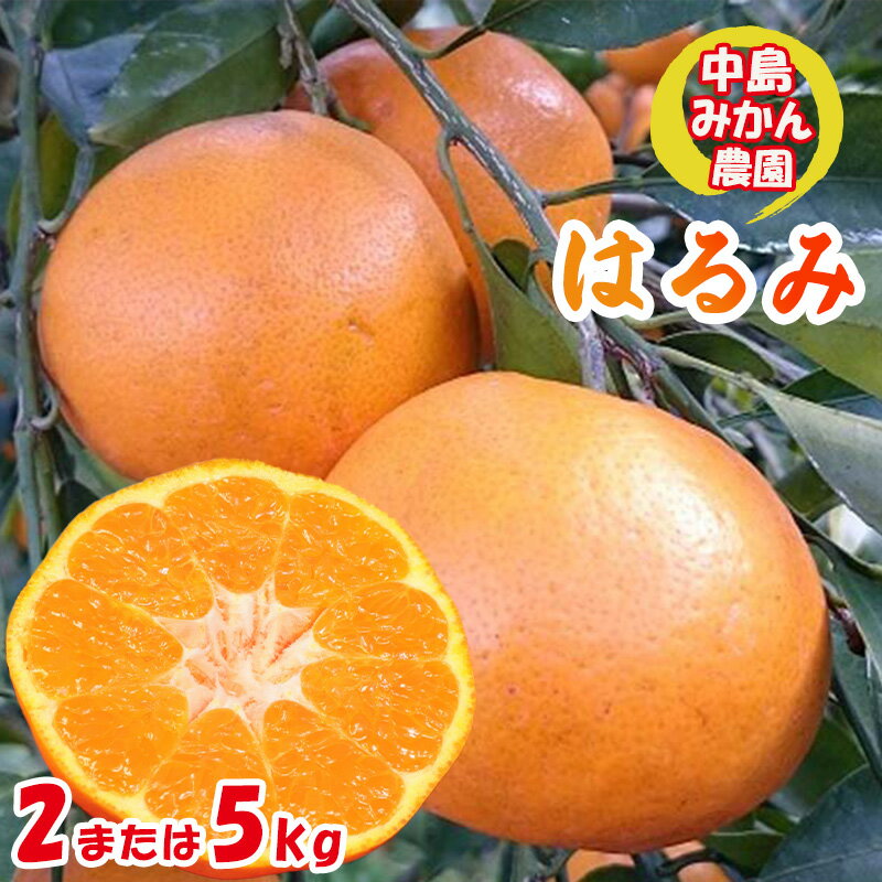 【ふるさと納税】 【2026年3月から発送】 はるみ 小玉 2kg / 5kg 中島みかん農園｜ 先行予約 蜜柑 みかん 小粒 わけあり 訳あり 甘い 柑橘 愛媛 糖度 数量 限定 愛媛 松山