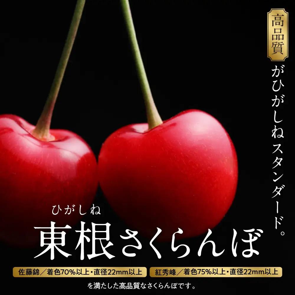 2027年産 GI東根 さくらんぼ 佐藤錦 800g さくらんぼ