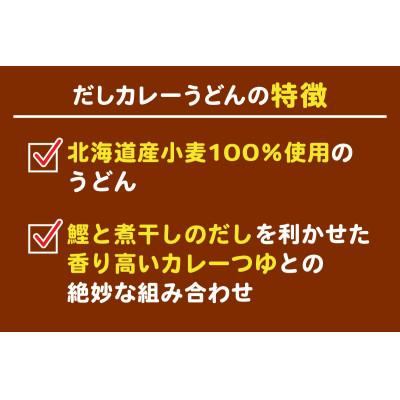 ふるさと納税 伊勢原市 【11月中旬発送】東洋水産 マルちゃん だしカレーうどん 2人前×6袋　伊勢原市 |  | 01