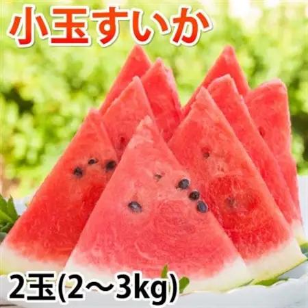 小玉すいか 秀品 2玉 約2～3kg【2027年5月下旬～7月下旬発送予定】【1586188】