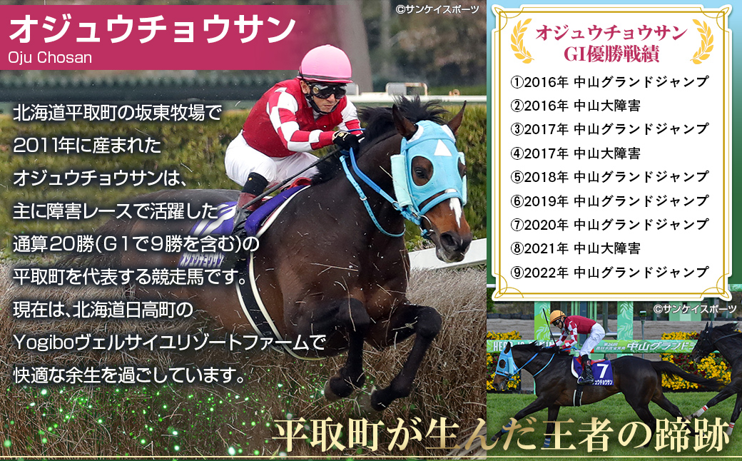 【御守り】オジュウチョウサンたてがみ入り牧柵利用勝守り BRTV001