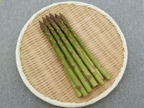 【ふるさと納税】北海道由仁町産 オーガニック夏採りグリーンアスパラ 1kg（令和8年7月～順次発送予定）