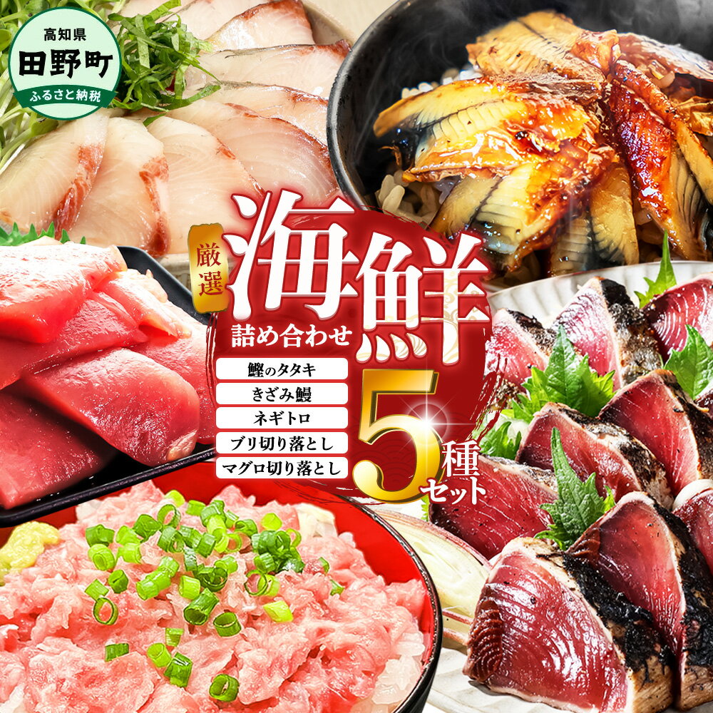 【ふるさと納税】厳選 海鮮5種詰め合わせセット 福袋 鰹のタタキ600g マグロ切り落とし200g ブリ切り落とし150g きざみ鰻80g ネギトロ100g かつお カツオ 鮪 ぶり うなぎ 冷凍 高知 小分け おいしい 故郷納税 11000円 10000円台 訳あり お楽しみ