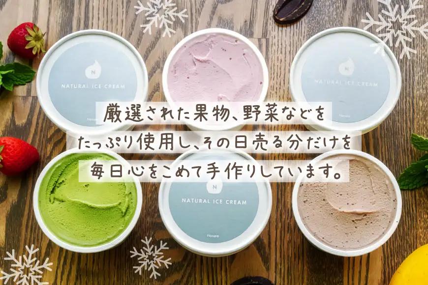 アイス ナチューラのアイスクリーム コンプリート 12個入り [ナチューラ 徳島県 北島町 29am0010]