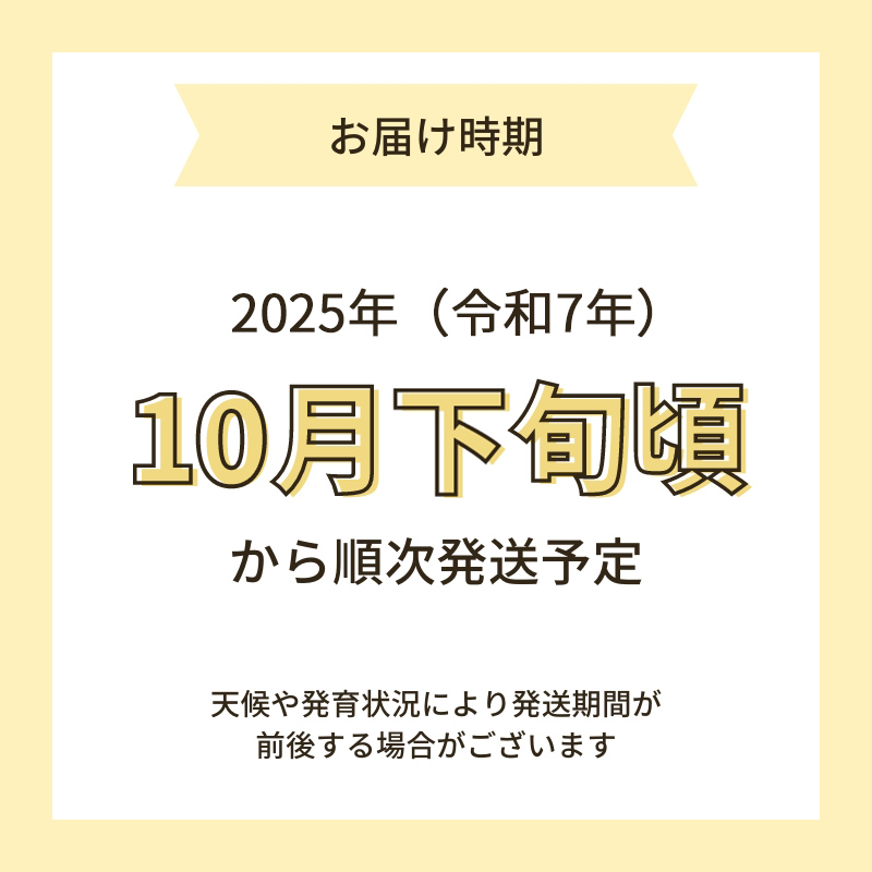【令和7年産新米予約】超神ネイガー米【無洗米】特別栽培米サキホコレ4kg×2 令和7年産 秋田県 にかほ市 お米 米 こめ 新米 無洗米