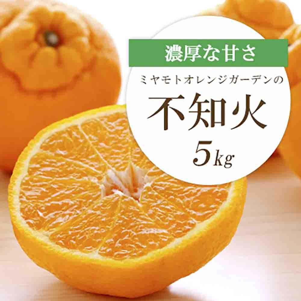 
                  【先行受付】デコポンと同品種 濃厚柑橘 不知火(しらぬい) 5kg＜D25-125＞【1268367】 YWTAP068
                