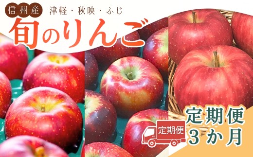 【2026年先行予約】【定期便3ヶ月】旬のりんご | 信州りんご 長野りんご リンゴ 林檎 千曲市 長野県産 信州