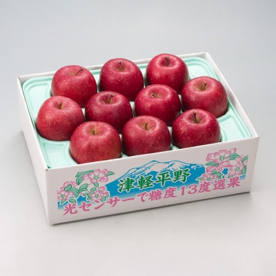【令和8年産・先行予約】糖度13度選果 サンふじ 約2.5kg 鮮度保持剤・保存用ポリ袋付【配送不可地域：離島・沖縄県】