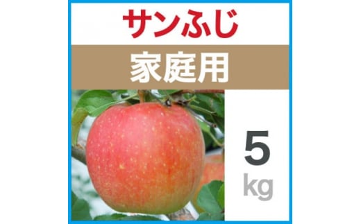 家庭用　サンふじ　5kg【1416818】