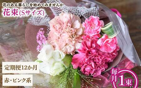 花束(Sサイズ・赤ピンク系・12ヶ月・毎月1束) 花束 ブーケ フラワーギフト 季節の花 生花 お祝い 誕生日 記念日 プレゼント ギフト 贈り物 【m56-05-SA12】【Porte-Bonheur】