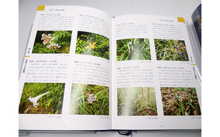 常陸大宮市史 別編2 自然 1冊 地形 地質 気象 【歴史】【ho1318】