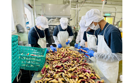 さつまいもラテ　20缶 【 ラテ ドリンク 飲み物 サツマイモ デザート 飲料 北海道 旭川市 】_04874