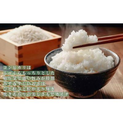 ふるさと納税 栗原市 【毎月定期便】コシヒカリ白米5kg 宮城県栗原産全3回 |  | 01