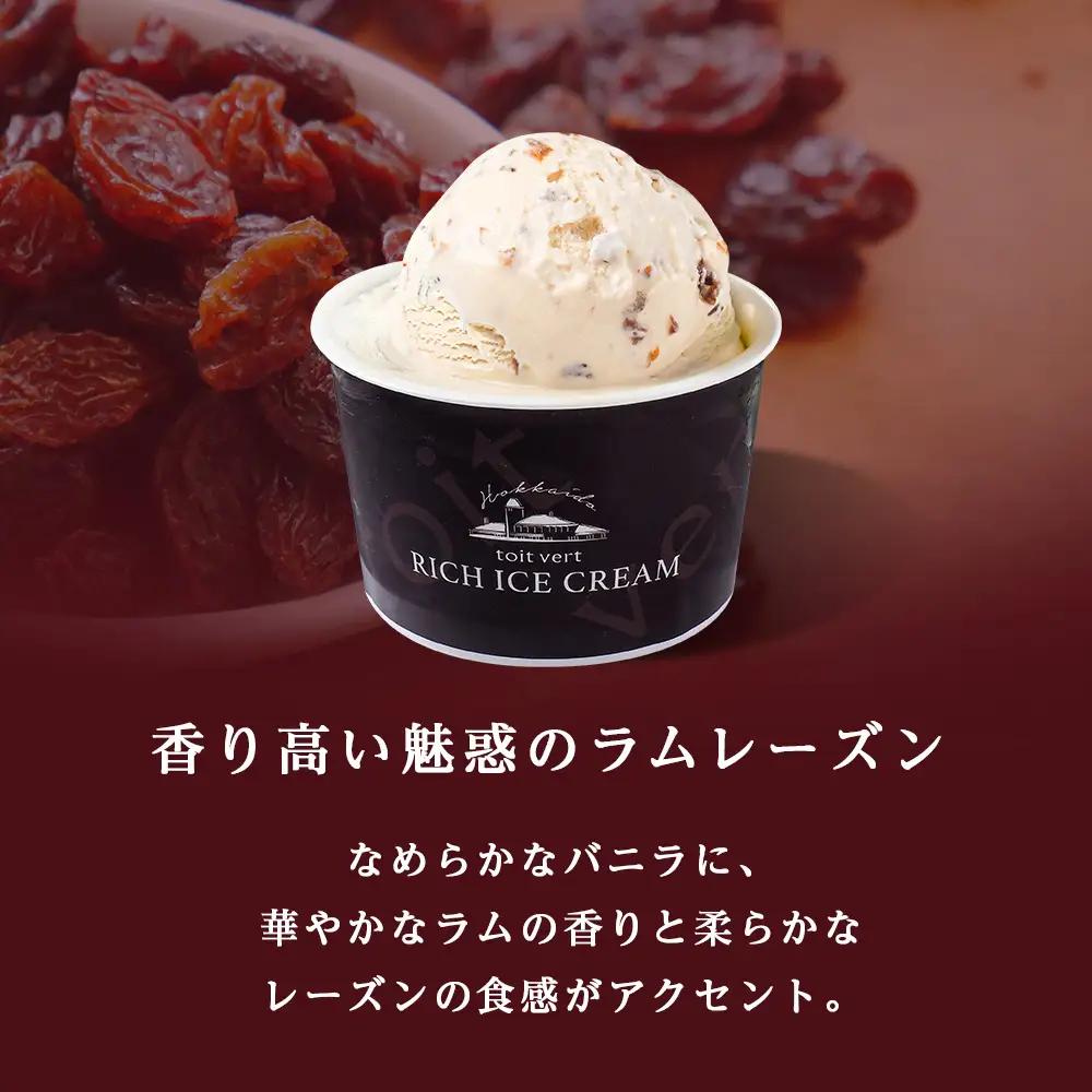 【定期便6ヶ月】リッチアイスクリーム 香り高い魅惑のラムレーズン　10個セット（100ml）