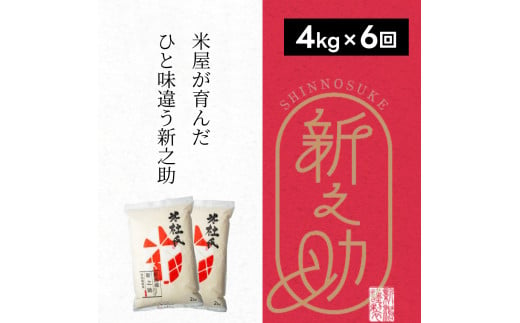 【6ヶ月定期便】 特別栽培米 新之助 4kg (2kg×2袋)×6回 米杜氏 壱成 白米 精米 大粒 つや 光沢 弾力 芳醇 1H43060