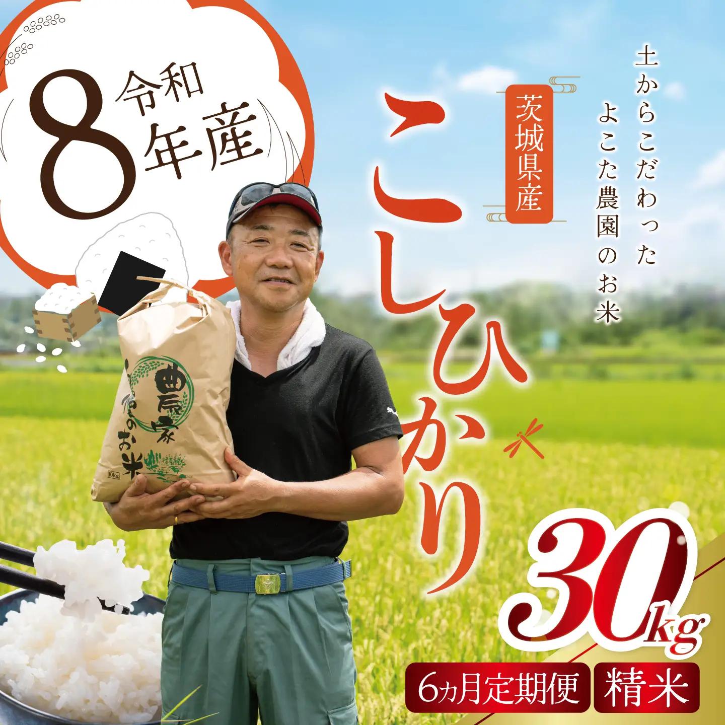 【6回定期便】令和8年産 コシヒカリ 精米 30kg 新米 こしひかり