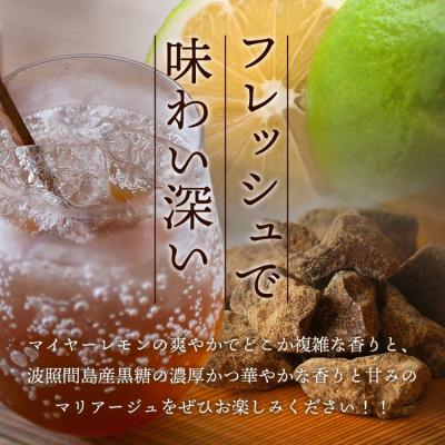 ふるさと納税 石垣市 【先行受付】<2025年10月〜12月順次発送> 黒糖レモン生シロップと果肉入りの120ml×各1本 |  | 01