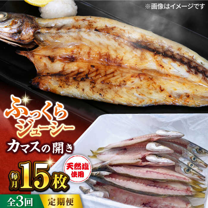 【ふるさと納税】【全3回定期便】漁師町佐島 カマスの開き 15枚セット 干物 横須賀 国産 大人気 天然塩仕立て 魚 定期 冷凍 【石川水産】[AKCX007]