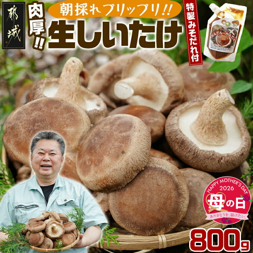 【ふるさと納税】【母の日】朝採れ肉厚生しいたけと特製みそだれ≪5月7日〜10日お届け≫ - 特製みそだれ付き 朝採れ生椎茸 どんこ椎茸 生しいたけ 約800g 母の日 ギフト プレゼント 贈答用 送料無料 AA-8701-MG【宮崎県都城市は2年連続ふるさと納税日本一！】