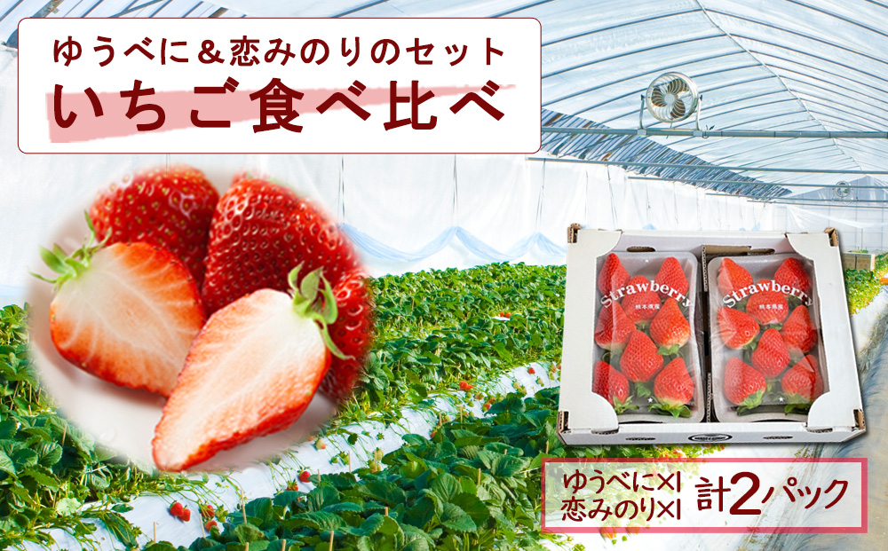 【選べる内容量】いちご 食べ比べセット ゆうべに・恋みのり 各1パック 計2パック 高藤農園 美味しい 人気 あまい 甘い イチゴ 詰め合わせ フルーツ 旬 果実 クリスマス お歳暮 御中元 ギフト おやつ ふるさと納税 熊本 阿蘇