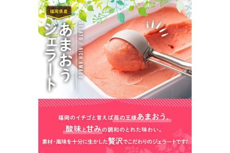 採れたて!福岡産濃厚あまおうジェラート 業務用 (1L) 苺 いちご イチゴ アイス アイスクリーム 手作り スイーツ ＜離島配送不可＞【ksg0131】【南国フルーツ】