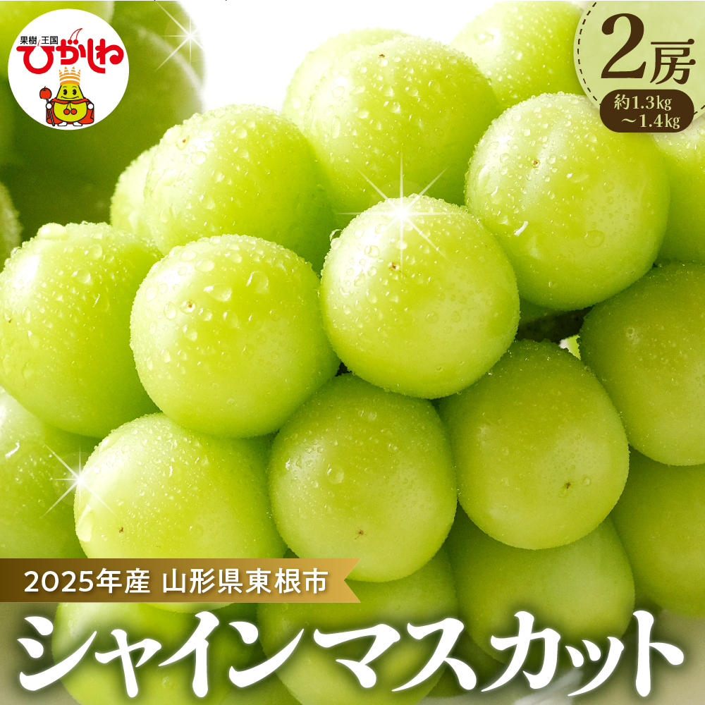 【2025年 先行予約】ぶどう「シャインマスカット」2房 (約1.3kg～1.4kg) 山形県 東根市 hi003-128-2