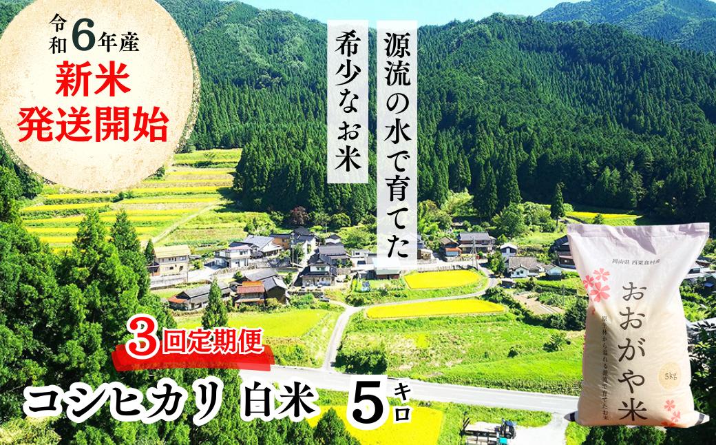 
【3回定期便】白米 5kg 令和6年産 コシヒカリ 岡山 「おおがや米」生産組合 G-af-BDCA
