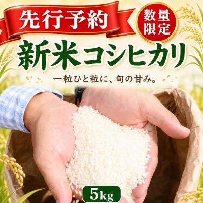 ふるさと納税 室戸市 【指定日配送OK!】令和8年産とれたて新米コシヒカリ5kg