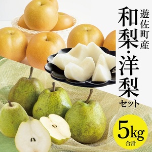 1235　遊佐町産和梨と洋梨のセット5kg
