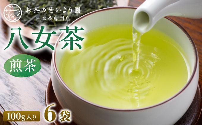 豊かな香りとまろやかな旨味 八女茶(煎茶) 600gセット（100g×6袋）|国産 緑茶 玉露 日本茶 お茶 茶葉 高級茶 家庭用 送料無料 那珂川市 福岡県