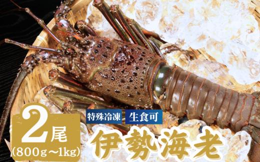 冷凍 伊勢海老 特大 2尾 （1尾800～1000g） イセエビ エビ 海老 甲殻類 急速冷凍 刺し身 刺身 魚 海鮮 おかず 酒 のあて おつまみ 弁当 塩 魚介 惣菜  食品 冷凍食品 グルメ 贈答 贈り物 プレゼント ギフト お取り寄せ ふるさと納税 送料無料 千葉県 銚子市 飯田水産株式会社