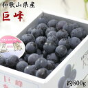 【ふるさと納税】【新鮮・産直】和歌山県産紀の川のカット巨峰約800g｜ぶどう 葡萄 きょほう 果物 フルーツ※北海道・沖縄・離島への配送不可※2024年8月上旬～8月下旬頃に順次発送予定