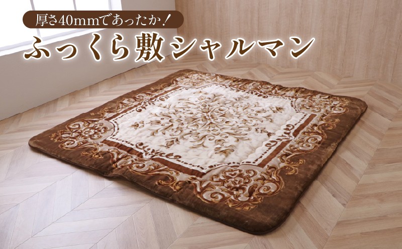 
                  選べる 厚さ40mmであったかい ふっくら敷 シャルマン ブラウン/ グリーン  こたつ敷布団 こたつ敷き こたつ布団 こたつ コタツ 炬燵 福岡県 柳川市 イケヒコ・コーポレーション
                