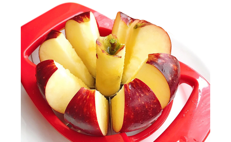 【2026年先行予約】 訳あり りんご 秋映 約5kg 林檎 リンゴ 5kg 果物 くだもの フルーツ デザート 旬の果物 旬のフルーツ 訳アリ 長野県 長野