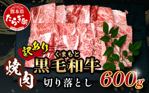 通常発送【訳あり】くまもと 黒毛和牛 焼肉 切り落とし 600g 《 本場 熊本県 黒毛 和牛 ブランド 牛 肉 焼き肉 やきにく 上質 くまもと 訳アリ 》 113-0504