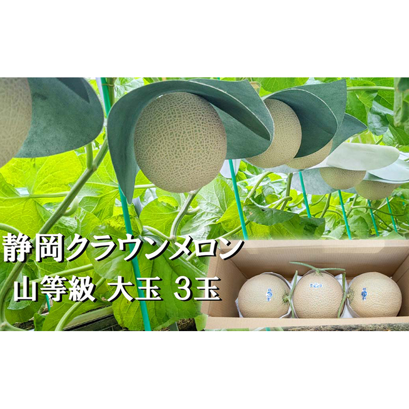 クラウンメロン山等級1.4kg前後　3玉入り 果物 メロン青肉 フルーツ デザート 高級メロンブランド 高級メロン ブランドメロン 
