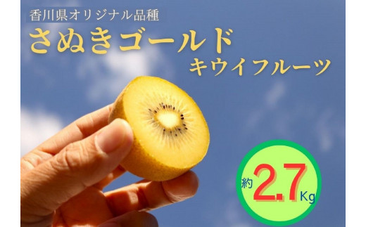 ＜先行受付　2025年発送＞さぬきゴールド　キウイフルーツ　約2.7kg